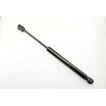 Right Trunk Strut