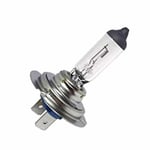 Low Beam Bulb