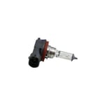 Fog Light Bulb