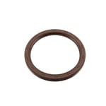 Rear Engine Seal