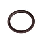 Rear Engine Seal