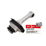 Rear Engine Mount