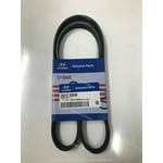 Dynamo Belt