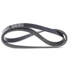 Dynamo Belt