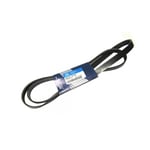Dynamo Belt
