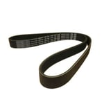 Engine Belt