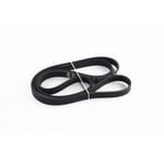 Engine Belt