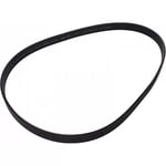 Engine Belt