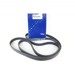 Engine belt