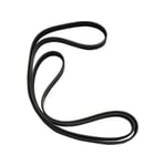 Dynamo Belt