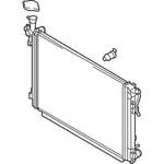 Radiator Assembly