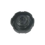 Radiator Cap