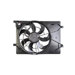 Radiator Fan