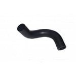 Lower Radiator Hose