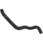 Lower Radiator Hose