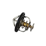 Engine Coolant Thermostat