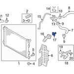 Thermostat Valve
