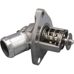 Thermostat Valve