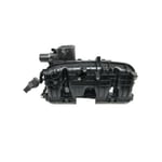 Manifold intake