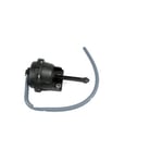 Engine Injector Valve