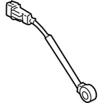 Engine Sensor