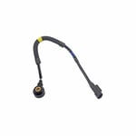 Knock Sensor