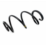 Front Spring