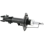 shock absorber F,L