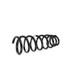 Rear Spring