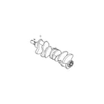 Crank Shaft
