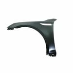 Front Left Fender