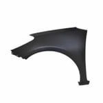 Fender F,L