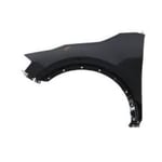Front Left Fender