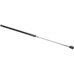 bonnet struts