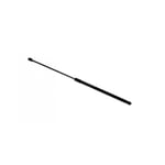 Left Hood Strut