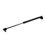 Right Trunk Strut