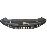 Radiator Plate