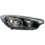 Front Left Headlight