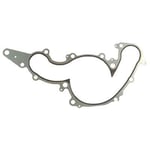 Water Pump Gasket