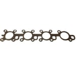 Exhaust Manifold Gasket