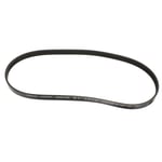 Engine Belt