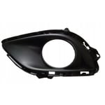 Right Fog Light Cover