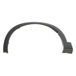 Right Front Fender Trim