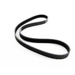 Dynamo Belt