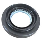 Transmission Seal