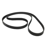 Dynamo Belt