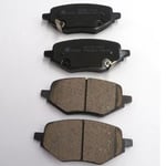 Rear Brake Shoes