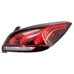 Rear Right Corner Light
