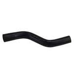 Lower Radiator Hose