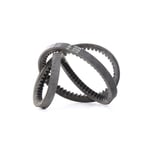Dynamo Belt